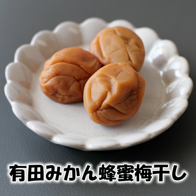 【ふるさと納税】 梅干し 家庭用 500g / 紀州 南高梅 なんこう梅 つぶれ梅 やぶれ梅 わけあり 訳あり 南高梅 うめ 梅 【ゆうパケット便でポスト投函】 //plum サムネイル2