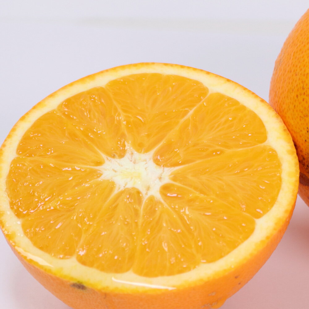 【ふるさと納税】 ネーブル オレンジ 訳あり 光センサー 選果 / 家庭用 甘い 和歌山 柑橘 1kg 5kg 10kg ※2月中旬〜3月中旬頃に順次発送予定 ※北海道・沖縄・離島への配送不可 //dekopon サムネイル2