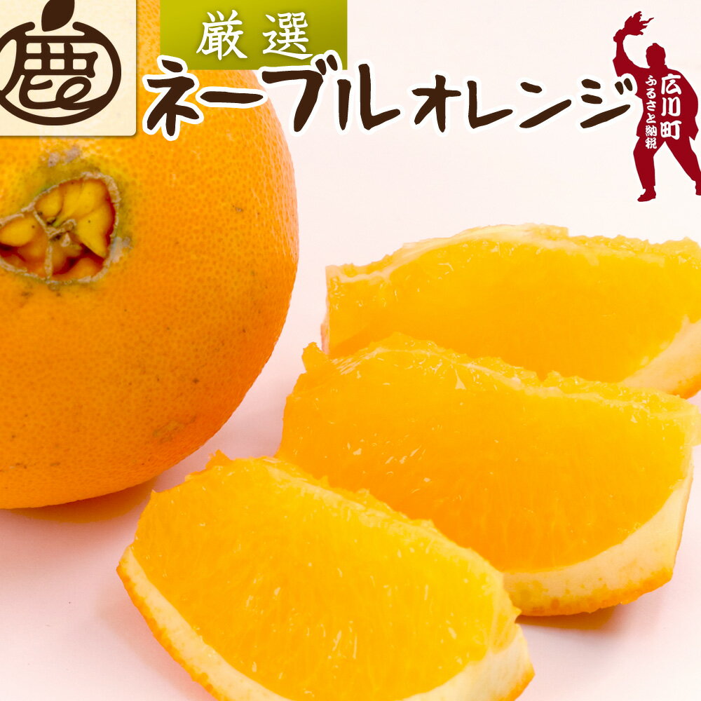 ネーブル オレンジ 厳選 光センサー / 高級 甘い 和歌山 柑橘 1kg 5kg 10kg ※2月中旬〜3月中旬頃に順次発送予定 ※北海道・沖縄・離島への配送不可 //dekopon