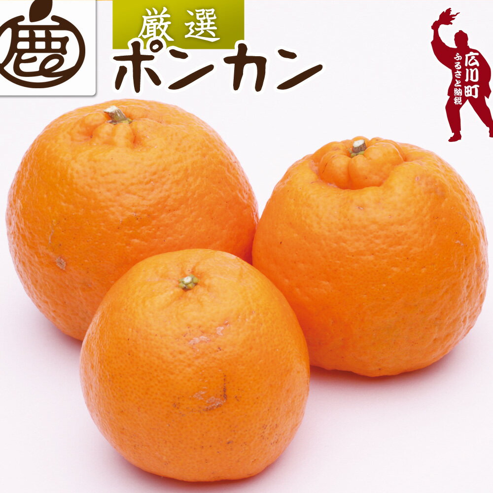厳選 ポンカン 1kg 2.5kg 5kg 7.5kg 10kg 【 光センサー 食頃出荷】【人気の 柑橘 】 ※1月中旬〜2月下旬頃に順次発送予定 ※北海道・沖縄・離島への配送不可 //dekopon