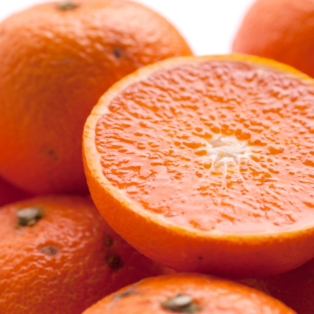 【ふるさと納税】 津之輝 家庭用 光センサー 選果 / 訳あり 甘い つのかがやき 和歌山 柑橘 1kg 5kg 10kg ※2月上旬〜3月下旬頃に順次発送予定 ※北海道・沖縄・離島への配送不可 //dekopon サムネイル2