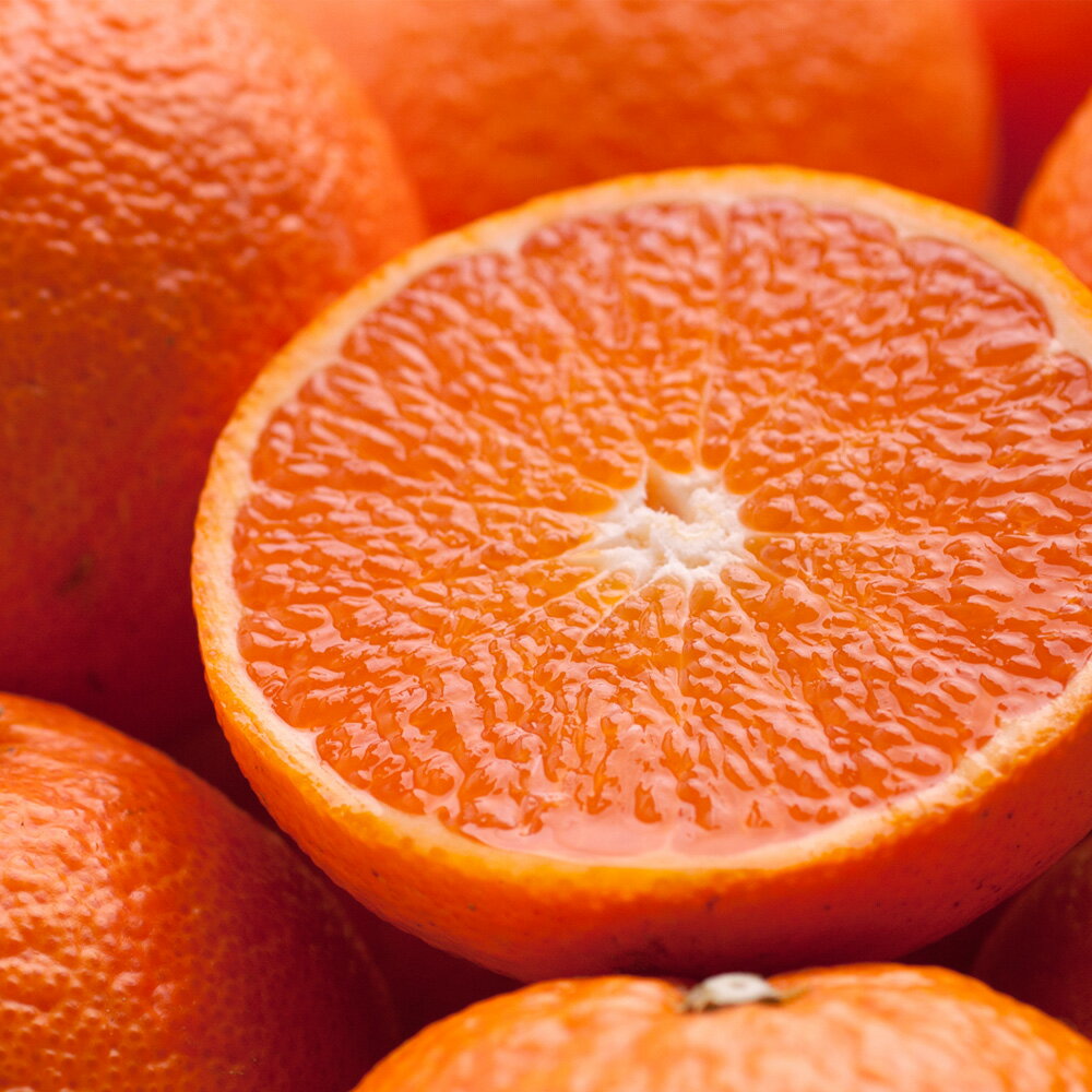 【ふるさと納税】 津之輝 厳選 光センサー 選果 / 高級 甘い つのかがやき 和歌山 柑橘 1kg 5kg 10kg ※2月上旬〜3月下旬頃に順次発送予定 ※北海道・沖縄・離島への配送不可 //dekopon サムネイル2