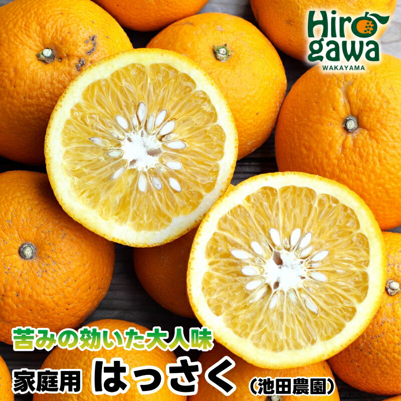家庭用 はっさく 【 八朔 】 【 わけあり 訳あり 】 5000円 6000円 8000円 11000円 14000円 ※1月上旬〜4月上旬頃に順次発送予定 ※北海道・沖縄・離島への配送不可 // hassaku