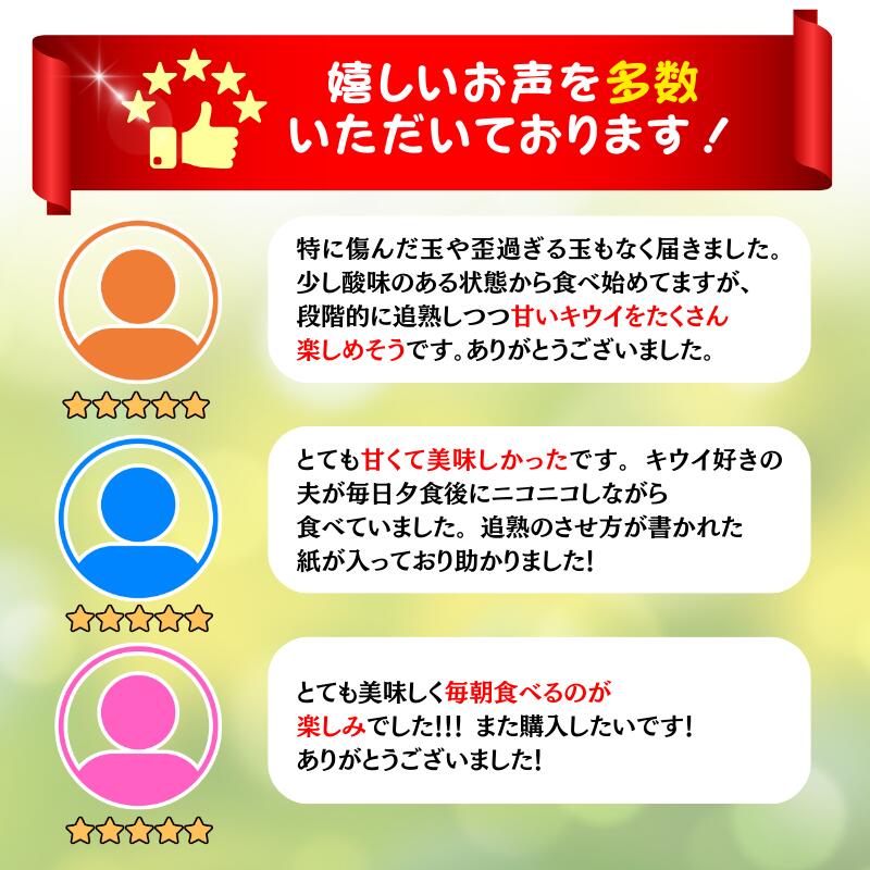 【ふるさと納税】 キウイ 家庭用 / キウイフルーツ 訳あり 和歌山 1kg 3kg 5kg 5000円 ※2025年11月中旬～2026年6月下旬に順次発送 ※北海道・沖縄・離島への配送不可 //hokaf サムネイル2