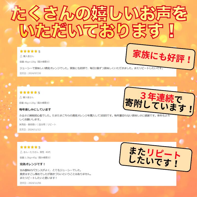 【ふるさと納税】 清見 オレンジ 厳選 光センサー / 清見オレンジ 清見タンゴール きよみ 清美 甘い 高級 和歌山 柑橘 5kg 10kg 5000円 ※2月上旬～6月上旬に順次発送 ※北海道・沖縄・離島への配送不可 //dekopon サムネイル2