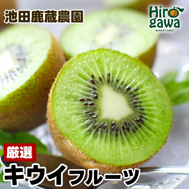 キウイ 厳選 / キウイフルーツ 高級 和歌山 1kg 5kg 5000円 ※2025年11月中旬～2026年6月中旬に順次発送 ※北海道・沖縄・離島への配送不可 //hokaf