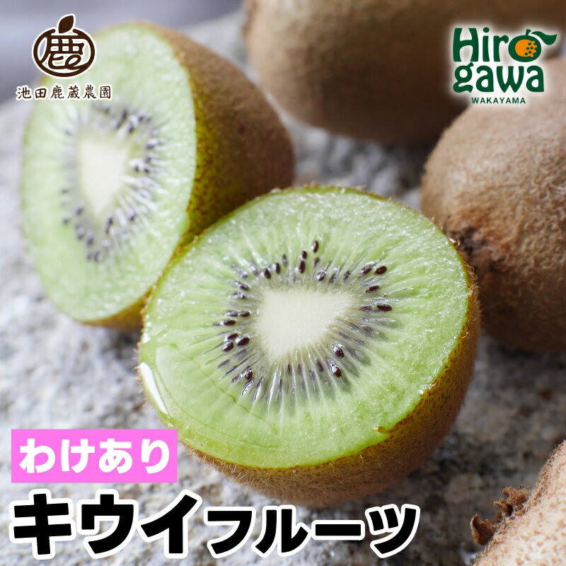 キウイ 家庭用 / キウイフルーツ 訳あり 和歌山 1kg 3kg 5kg 5000円 ※2025年11月中旬～2026年6月下旬に順次発送 ※北海道・沖縄・離島への配送不可 //hokaf