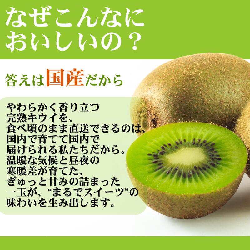 【ふるさと納税】 キウイ 厳選 / キウイフルーツ 高級 和歌山 1kg 5kg 5000円 ※2025年11月中旬～2026年6月中旬に順次発送 ※北海道・沖縄・離島への配送不可 //hokaf サムネイル3