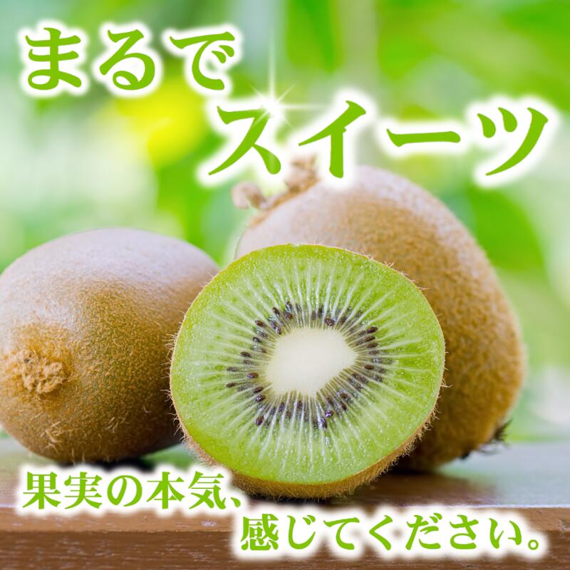 【ふるさと納税】 キウイ 家庭用 / キウイフルーツ 訳あり 和歌山 1kg 3kg 5kg 5000円 ※2025年11月中旬～2026年6月下旬に順次発送 ※北海道・沖縄・離島への配送不可 //hokaf サムネイル3