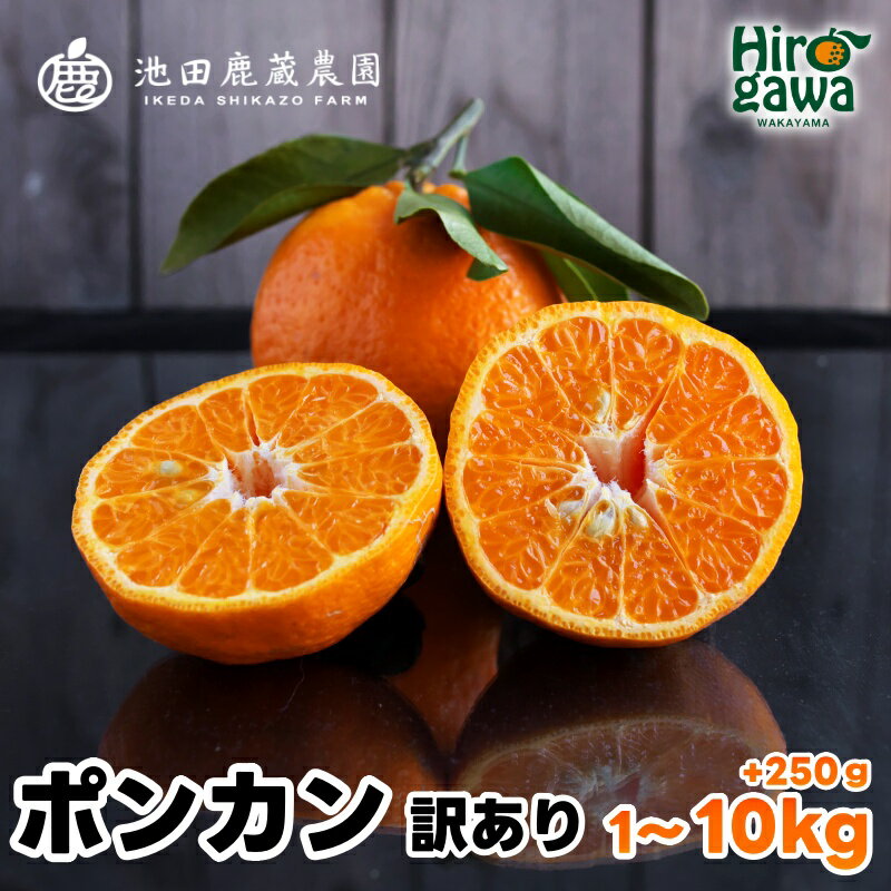 家庭用 ポンカン 1kg 2.5kg 5kg 7.5kg 10kg【 光センサー 食頃出荷】【人気の 柑橘 】【わけあり・訳あり】 ※1月中旬〜2月下旬頃に順次発送予定 ※北海道・沖縄・離島への配送不可 //dekopon