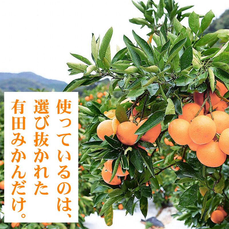 【ふるさと納税】 有田 みかんゼリー 果肉たっぷり / 温州みかん ゼリー 柑橘 和歌山 10000円 ※北海道・沖縄・離島への配送不可 //drink - 画像3