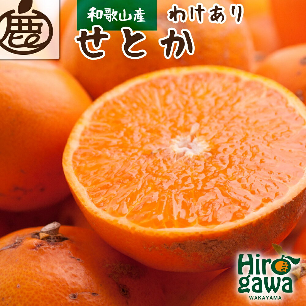 家庭用 せとか 光センサー / 訳あり 甘い 和歌山 柑橘 1kg 5kg 10kg ※2月上旬〜4月上旬頃に順次発送予定 ※北海道・沖縄・離島への配送不可 //dekopon