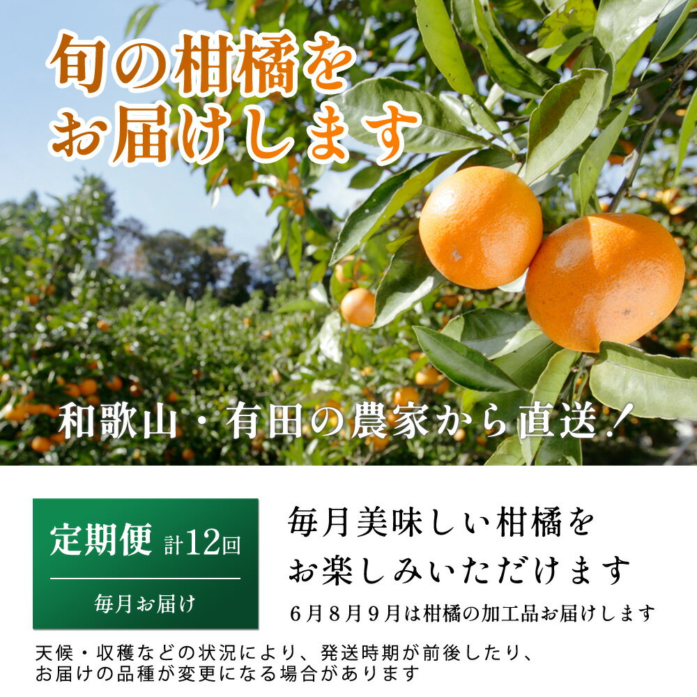 【ふるさと納税】 柑橘 定期便 M【選べる回数】【 和歌山 県 有田 】 ※北海道・沖縄・離島への配送不可 / 定期便 フルーツ はっさく せとか 不知火 清見オレンジ カラマンダリン みかんゼリー ハウスみかん ゆら早生 有田みかん 12回 //teiki サムネイル2