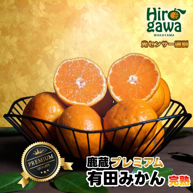 鹿蔵の 有田 みかん プレミアム 光センサー 選果 / 温州みかん 有田みかん 甘い 高級 厳選 和歌山 柑橘 お試し 送料無料 5kg 10kg 6000円 9000円 ※11月中旬〜1月下旬に順次発送 ※北海道・沖縄・離島への配送不可 //mandarin