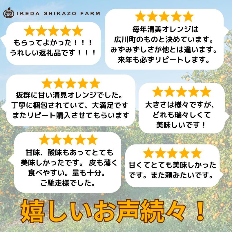 【ふるさと納税】 清見 オレンジ 家庭用 光センサー / 訳あり 清見オレンジ 清見タンゴール きよみ 清美 甘い 和歌山 柑橘 5000円 7000円 10000円 ※2月上旬～6月上旬に順次発送 ※北海道・沖縄・離島への配送不可 //dekopon サムネイル2
