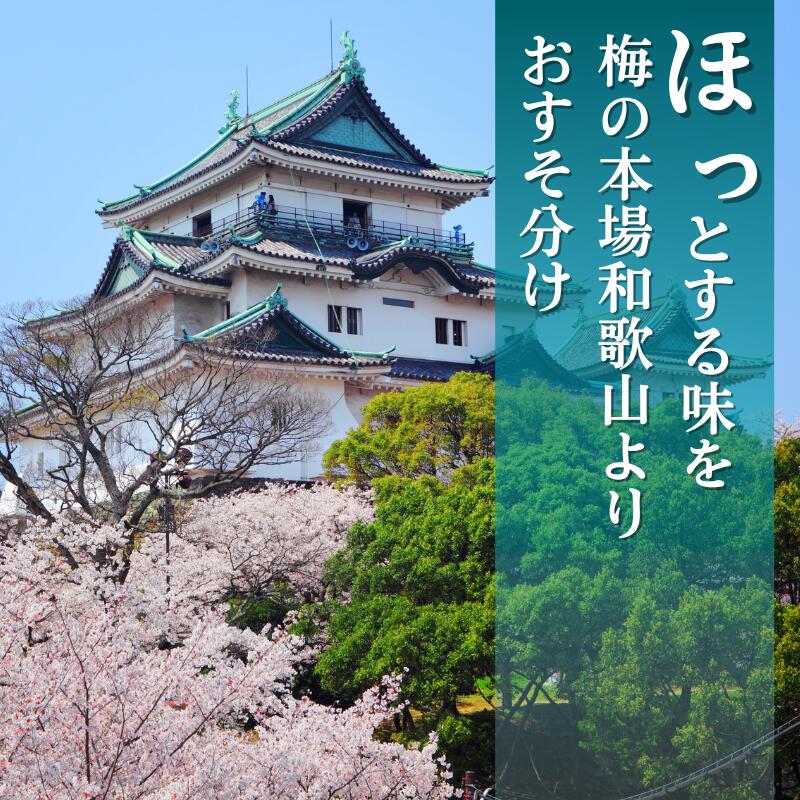 【ふるさと納税】 選べる 南高梅 ( 青梅 ・ 黄梅 ・ 冷凍梅 ・ 梅シロップキット ) / 梅 梅シロップ 梅酒 梅干し 和歌山 紀州 1kg 2kg 5000円 ～※北海道・沖縄・離島への配送不可 //hokaf - 画像3