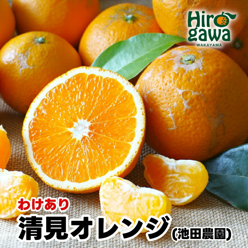 清見 オレンジ 家庭用 光センサー / 訳あり 清見オレンジ 清見タンゴール きよみ 清美 甘い 和歌山 柑橘 5000円 7000円 10000円 ※2月上旬～6月上旬に順次発送 ※北海道・沖縄・離島への配送不可 //dekopon