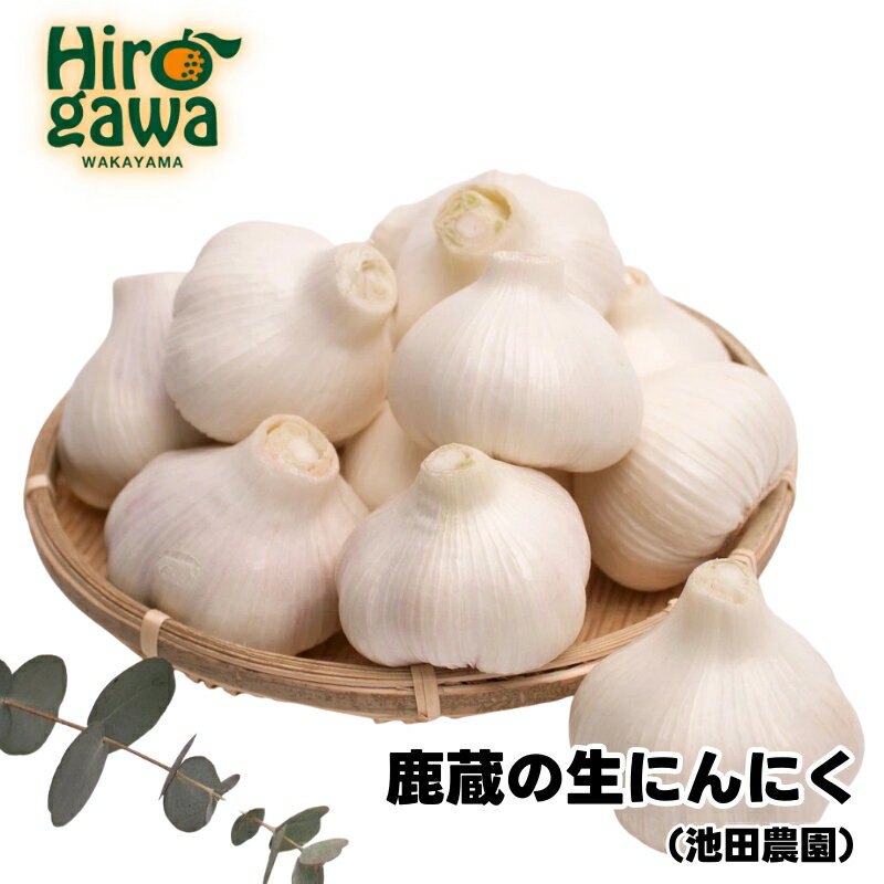生 にんにく / 生にんにく 国産 厳選 家庭用 500g 1kg 2kg 5000円 ※5月上旬～5月下旬に順次発送 ※北海道・沖縄・離島への配送不可 //vegi