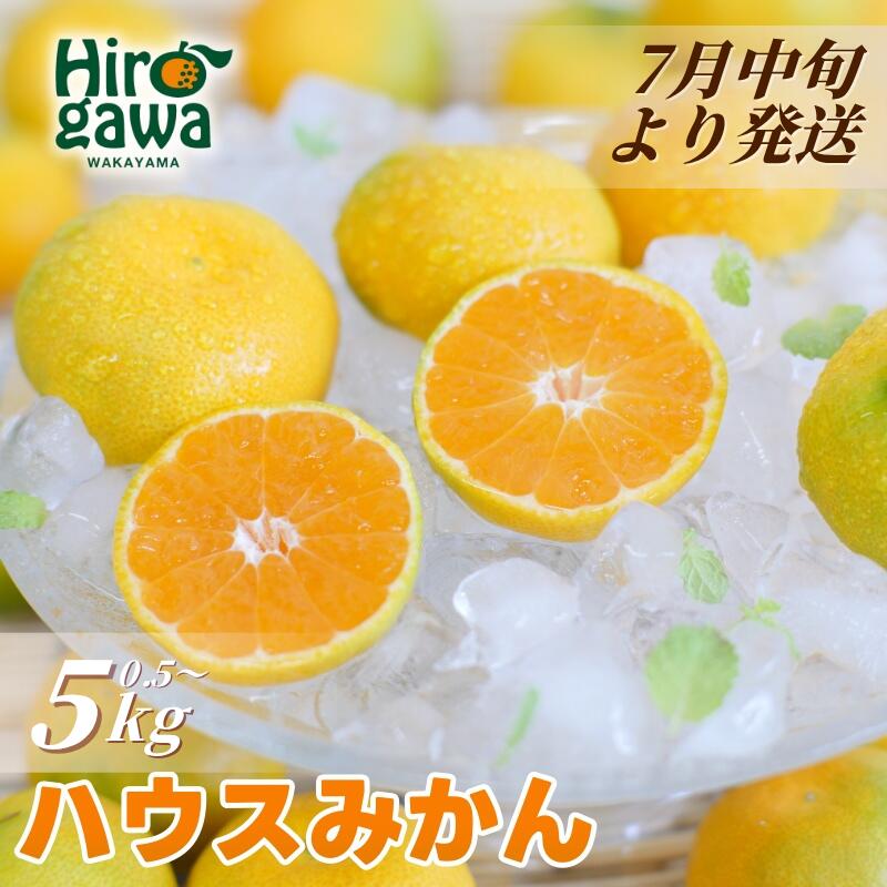 【ふるさと納税】 鹿蔵の 有田 みかん 家庭用 厳選 ハウス 光センサー 選果 / 温州みかん 有田みかん 甘い 訳あり 和歌山 柑橘 お試し 送料無料 2.5kg 5kg 10kg 5000円 6000円 ※10月～1月下旬順次発送 ※北海道・沖縄・離島への配送不可 //mandarin //goku サムネイル3