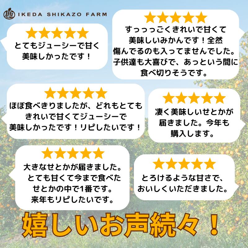 【ふるさと納税】 家庭用 せとか 光センサー / 訳あり 甘い 和歌山 柑橘 1kg 5kg 10kg ※2月上旬〜4月上旬頃に順次発送予定 ※北海道・沖縄・離島への配送不可 //dekopon サムネイル2