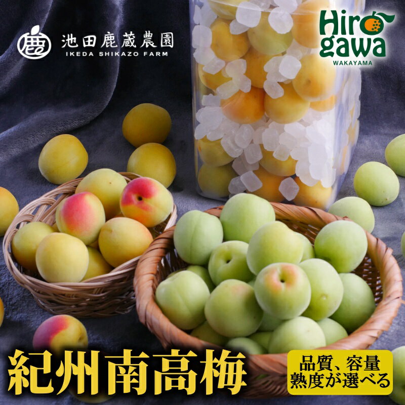 選べる 南高梅 ( 青梅 ・ 黄梅 ・ 冷凍梅 ・ 梅シロップキット ) / 梅 梅シロップ 梅酒 梅干し 和歌山 紀州 1kg 2kg 5000円 ～※北海道・沖縄・離島への配送不可 //hokaf