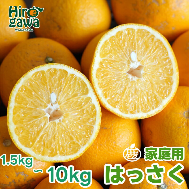 【ふるさと納税】 家庭用 はっさく 【 八朔 】 【 わけあり 訳あり 】 5000円 10000円 ※1月上旬〜4月上旬頃に順次発送予定 ※北海道・沖縄・離島への配送不可 // hassaku