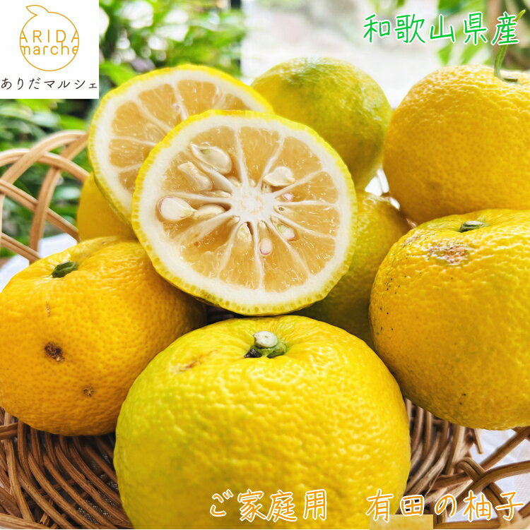 【先行予約】 国産 紀州 和歌山 家庭用 訳あり 柚子（ゆず） ※2025年10月下旬～2026年1月下旬頃に順次発送 ※北海道・沖縄・その他離島地域は発送不可 / くだもの 果実 柑橘 果物 フルーツ 有田 //lemon