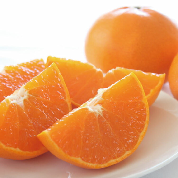 【ふるさと納税】 和歌山有田の濃厚 せとか (ご家庭用) 約4〜5kg ※2026年2月下旬～2026年3月中旬に順次発送 / くだもの フルーツ 果実 果物 有田 みかん 晩柑 和歌山 //dekopon サムネイル2