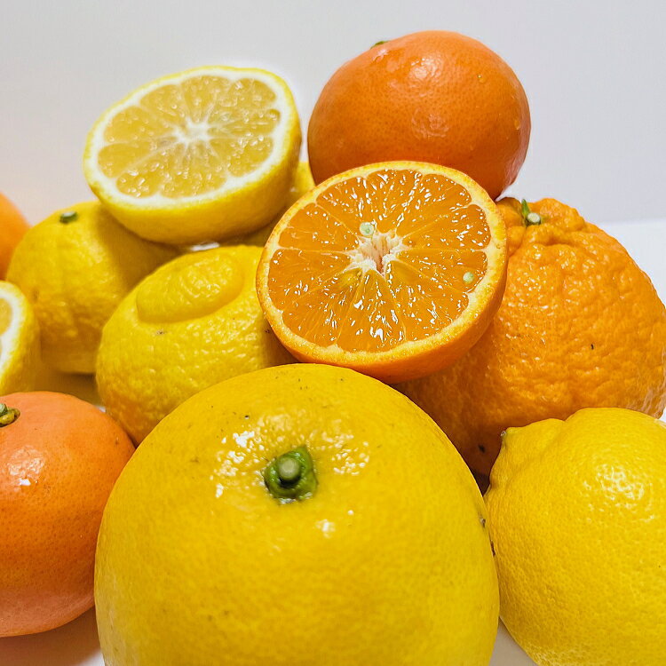 【ふるさと納税】【先行予約】 有田育ちの旬の 柑橘 詰め合わせ セット (ご家庭用)　※2026年1月中旬～2026年4月下旬に順次発送 ※北海道・沖縄・その他離島地域は発送不可 / みかん くだもの 晩柑 果実 蜜柑 柑橘 果物 フルーツ 国産 和歌山県 有田 //hassaku サムネイル2