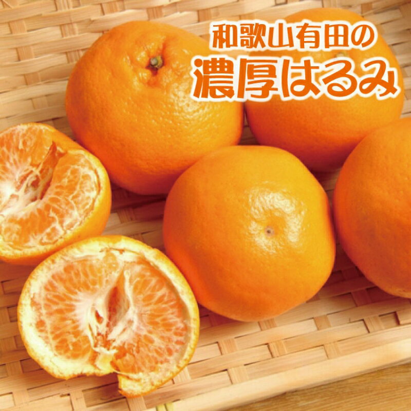 【数量限定】【農家直送】濃厚はるみみかん ※2026年1月下旬～2026年2月中旬に順次発送 / みかん 柑橘 蜜柑 くだもの 果物 果実 フルーツ 和歌山 有田 //dekopon