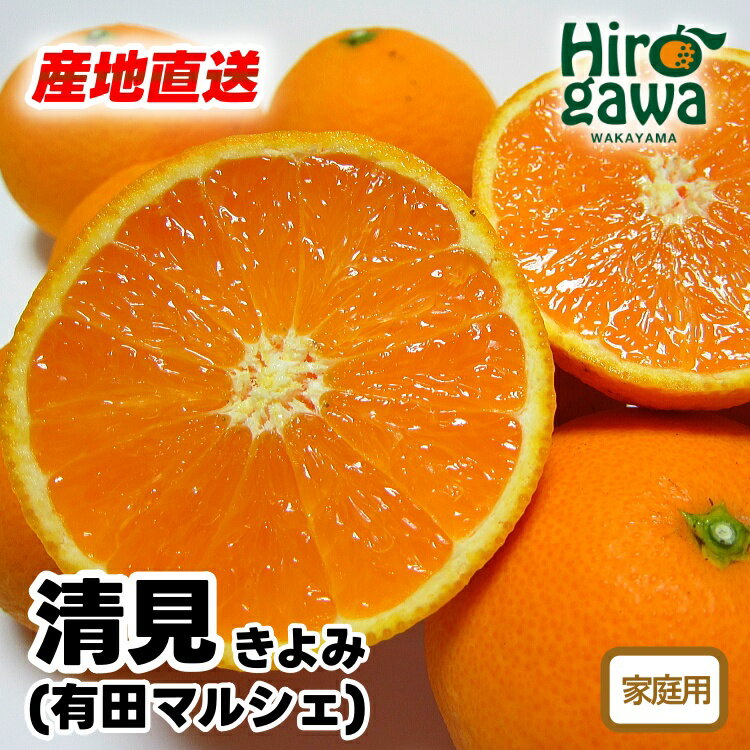 【先行予約】 産地直送 有田 育ちの ご家庭用 完熟 清見 オレンジ ※2026年2月下旬～2026年3月下旬に順次発送 ※北海道・沖縄・その他離島地域は発送不可 / みかん 和歌山 有田 オレンジ フルーツ 果物 甘い //dekopon