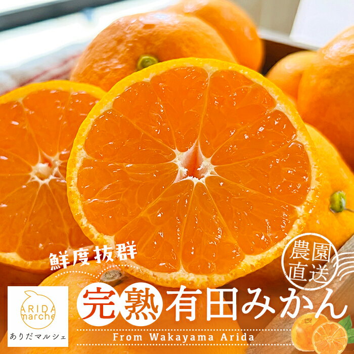 ＜先行予約＞※2025年11月上旬～2025年12月下旬発送 農園直送！完熟有田みかん 秀優混合 ※北海道・沖縄・その他離島地域は発送不可 / 和歌山 有田みかん ミカン オレンジ 甘い フルーツ 果物 産地直送 //mandarin