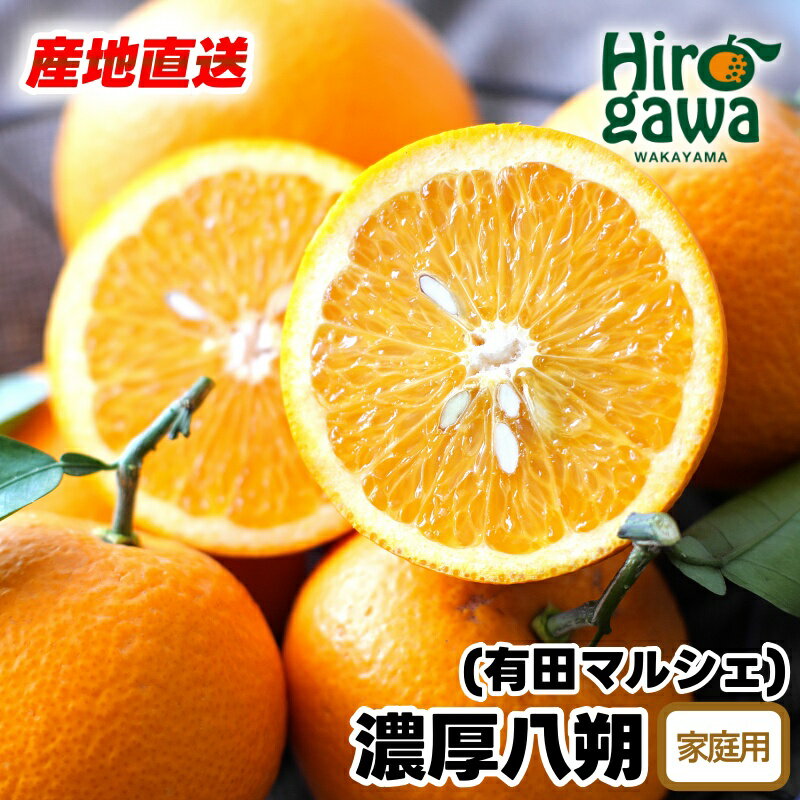 【先行予約】 産地直送 濃厚 八朔 （ご家庭用）※2026年2月下旬～2026年3月下旬に順次発送 ※北海道・沖縄・その他離島地域は発送不可 / みかん 蜜柑 八朔 はっさく 柑橘 果物 くだもの 果実 フルーツ 国産 和歌山 //hassaku