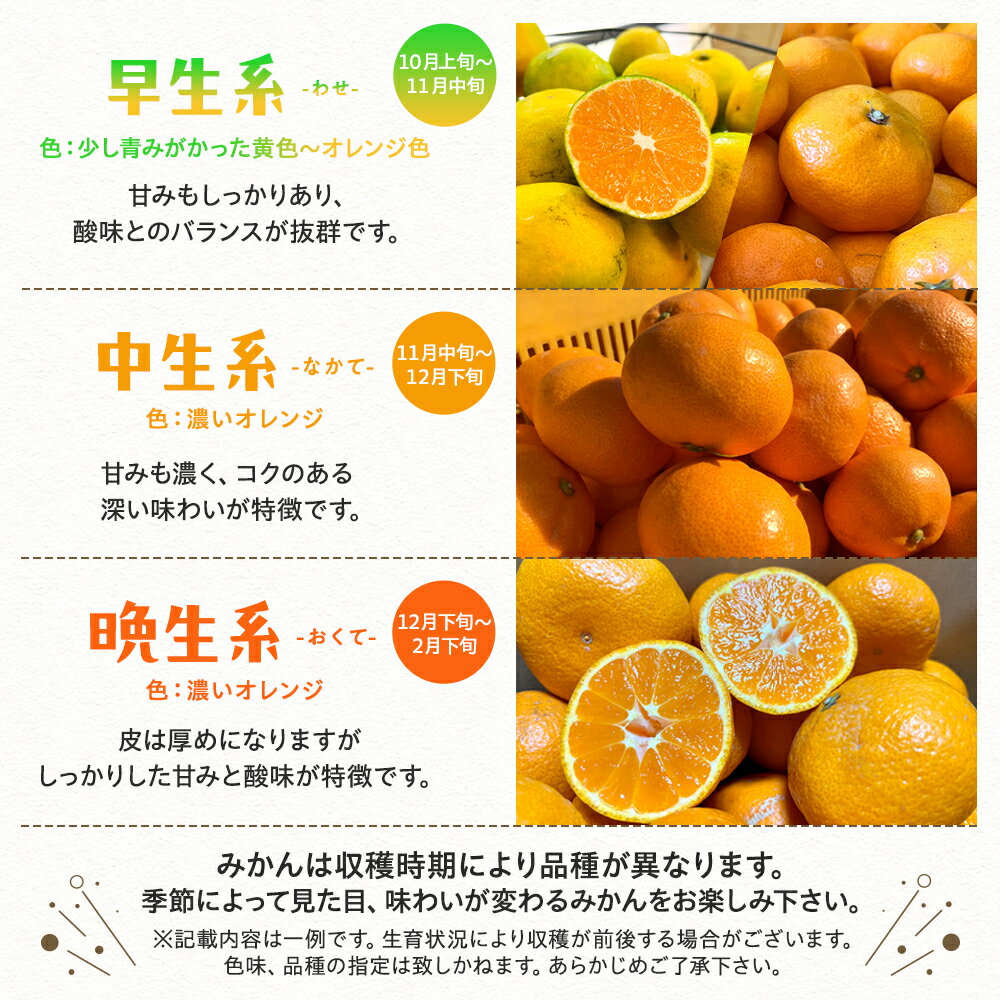【ふるさと納税】 有田育ちの ご家庭用 完熟 有田みかん 選べる発送月、内容量、サイズ 農家直送 わけあり 訳あり ※2025年10月～2026年1月に順次発送予定 / 温州みかん みかん フルーツ 果物 柑橘 くだもの 人気 和歌山 ※配送不可地域：北海道・離島・沖縄県 //mandarin サムネイル3