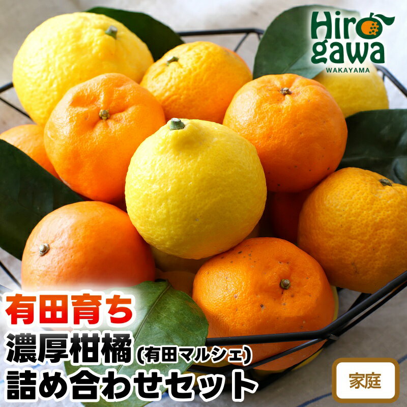 【先行予約】 有田育ちの旬の 柑橘 詰め合わせ セット (ご家庭用)　※2026年1月中旬～2026年4月下旬に順次発送 ※北海道・沖縄・その他離島地域は発送不可 / みかん くだもの 晩柑 果実 蜜柑 柑橘 果物 フルーツ 国産 和歌山県 有田 //hassaku