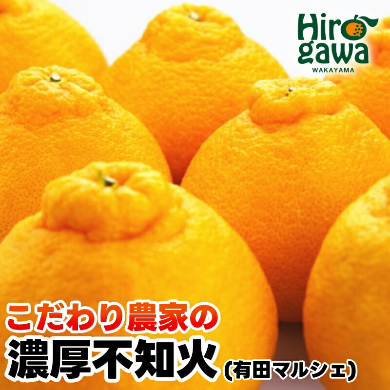 【先行予約】こだわり農家の濃厚 不知火 ※2026年2月上旬～2026年3月下旬に順次発送 ※北海道・沖縄・その他離島地域は発送不可 / みかん 蜜柑 果物 くだもの 果実 フルーツ 国産 和歌山県広川町 //dekopon