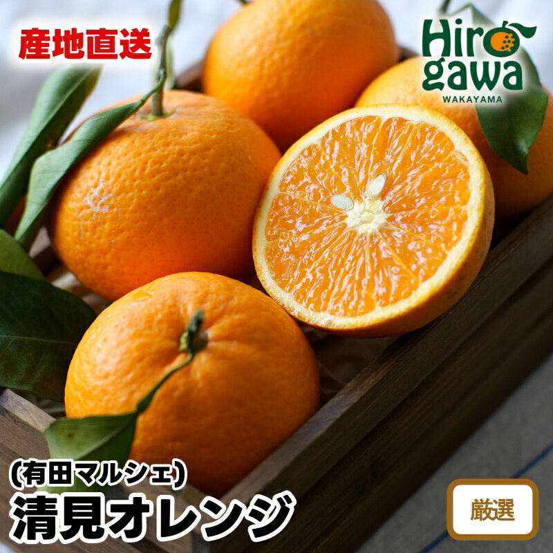 【先行予約】 産地直送 特選 完熟 清見 オレンジ ※2026年2月下旬～2026年3月下旬に順次発送 ※北海道・沖縄・その他離島地域は発送不可 / みかん くだもの きよみ 清見 果実 蜜柑 柑橘 果物 フルーツ 国産 和歌山県 有田 //dekopon