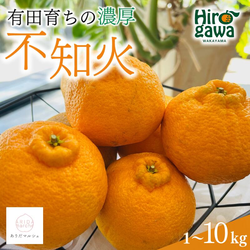 【先行予約】 有田育ちの濃厚 不知火 ( デコポン と同品種)( 訳あり 家庭用 ) ※2026年1月下旬～2026年3月下旬に順次発送 ※北海道・沖縄・その他離島地域は発送不可 / しらぬい みかん 和歌山 有田 柑橘 果物 フルーツ くだもの 果実 有田 濃厚 //dekopon