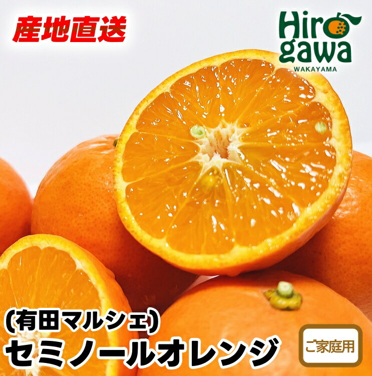 有田 育ちの爽快 セミノールオレンジ ( ご家庭用 わけあり ) ※2026年4月上旬～5月下旬に順次発送 ※北海道・沖縄・その他離島地域は発送不可 / みかん 訳あり オレンジ くだもの 晩柑 柑橘 和歌山 //hassaku