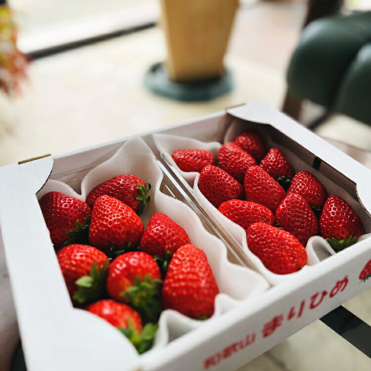 【ふるさと納税】 朝摘み 完熟 まりひめ いちご 600g 1200g 和歌山ブランド苺 / フルーツ 果物 くだもの 果実 和歌山 有田 ※2026年1月上旬～2026年3月下旬頃に順次発送 ※北海道、沖縄、離島配送不可 //hokaf サムネイル2