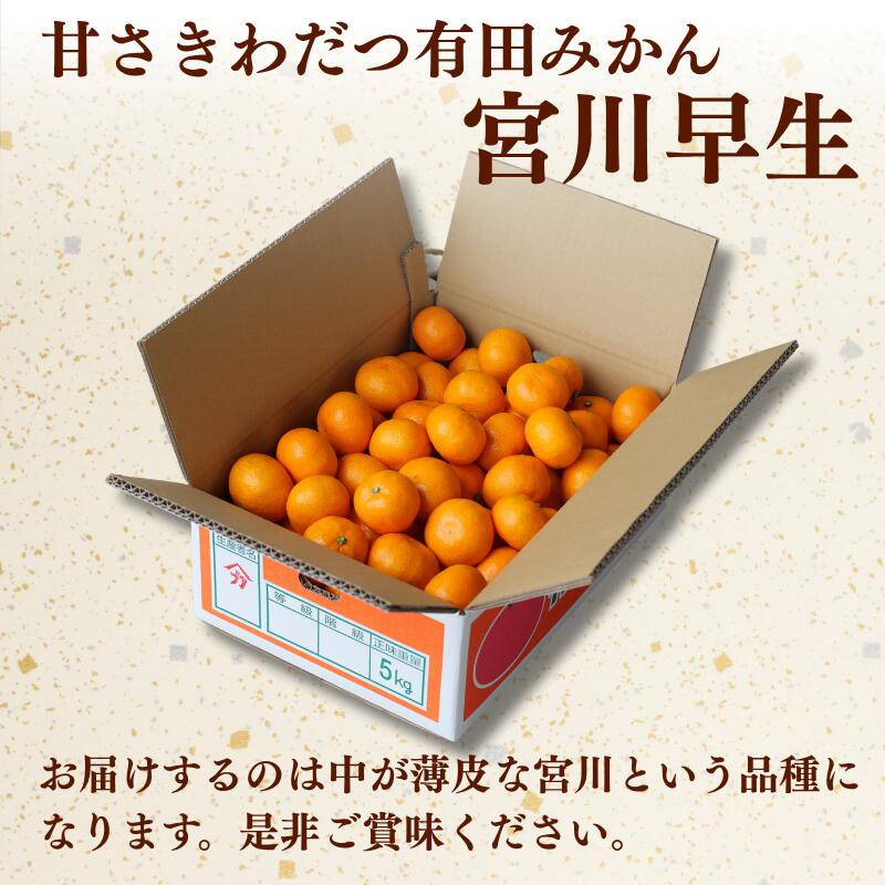 【ふるさと納税】 有田みかん 選べる ( 小玉 MLサイズ 大玉 ) / 有田 みかん 温州みかん 甘い 小粒 和歌山 柑橘 2kg 5kg 10kg 6000円 10000円 ※12月上旬〜翌年1月上旬に順次発送 //mandarin サムネイル3