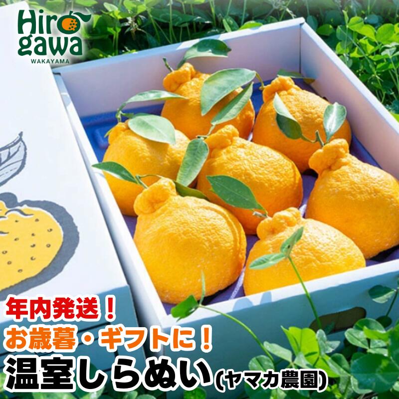 不知火 ハウス栽培 / しらぬい デコポン 甘い 和歌山 柑橘 贈答 歳暮 3kg 8000円 ※11月下旬〜12/25頃までに順次発送 (年内にお届け) //dekopon