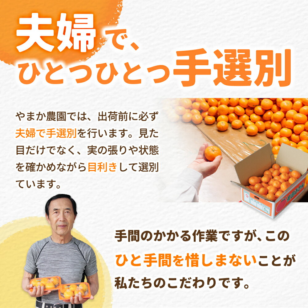 【ふるさと納税】 有田みかん 選べる ( 小玉 MLサイズ 大玉 ) / 有田 みかん 温州みかん 甘い 小粒 和歌山 柑橘 1.8kg 5kg 10kg ※2026年12月上旬〜翌年1月中旬に順次発送 //mandarin - 画像2