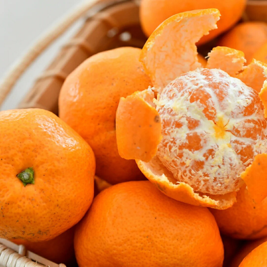 和歌山県 広川町産 有田 みかん 5kg ※11月中旬～12月下旬頃に順次発送予定 / 温州みかん ミカン 柑橘 果物 和歌山 //mandarin