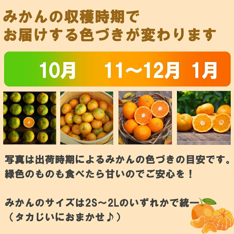 【ふるさと納税】 タカじいの 有田みかん 小玉 大玉 サイズ混合 / 温州みかん 有田 みかん 甘い 家庭用 和歌山 柑橘 3kg 5kg 10kg 7000円 10000円 ※10月～1月順次発送 //mandarin サムネイル3