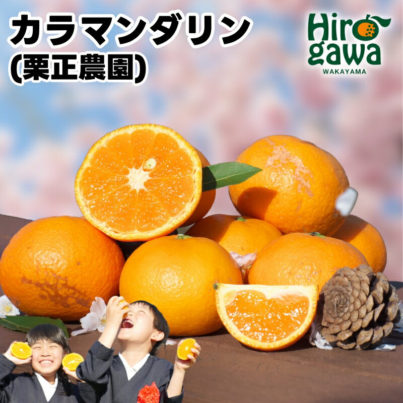 タカじいの カラマンダリン 家庭用 5kg サイズおまかせ M～2L / カラ カラオレンジ カラみかん 訳あり 和歌山 有田 柑橘 10000円 ※4月中旬〜5月に順次発送 //hassaku