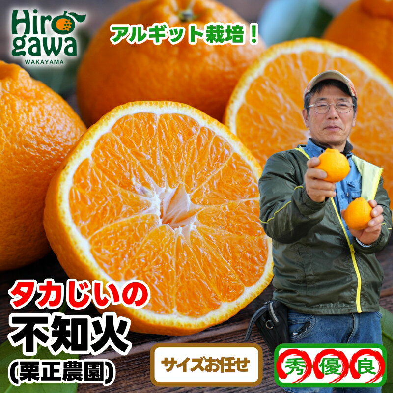 タカじいの 不知火 ( しらぬい ） / デコポン 甘い 和歌山 有田 柑橘 3kg 5kg ※3月上旬〜3月下旬に順次発送 //dekopon