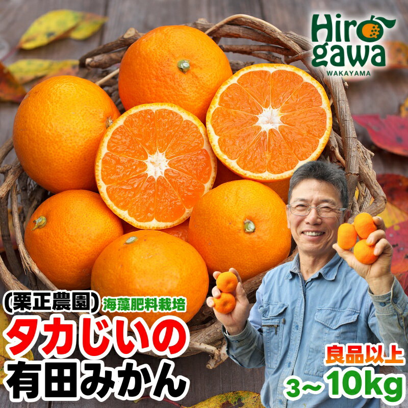 タカじいの 有田みかん 小玉 大玉 サイズ混合 / 温州みかん 有田 みかん 甘い 家庭用 和歌山 柑橘 3kg 5kg 10kg 7000円 10000円 ※10月～1月順次発送 //mandarin