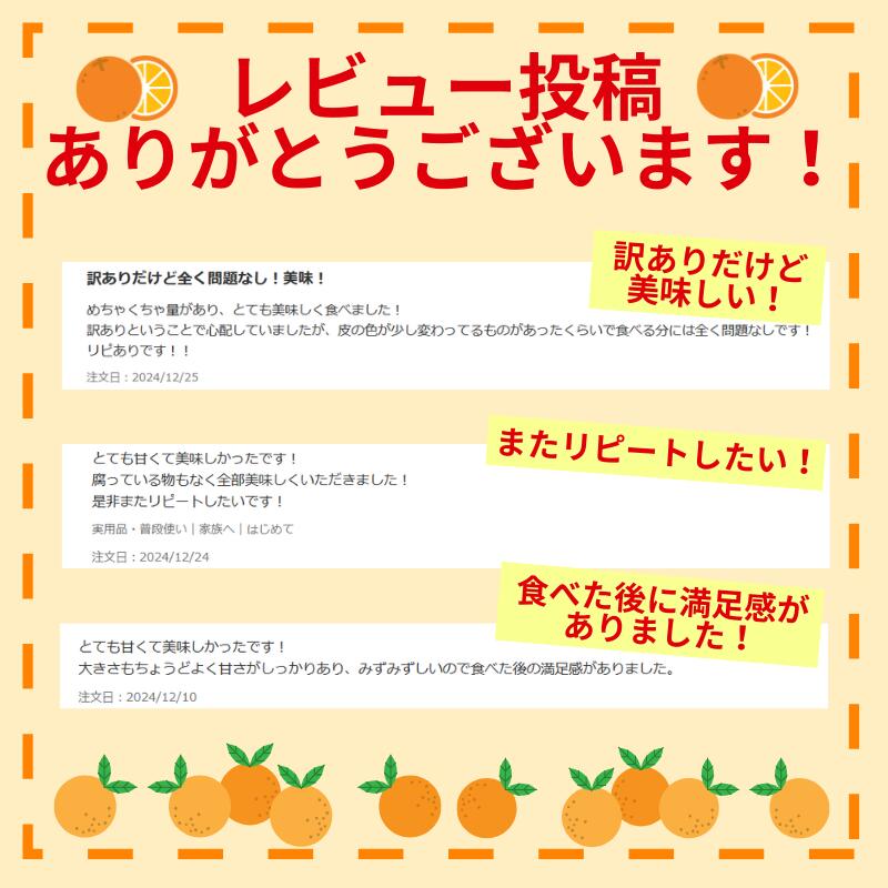 【ふるさと納税】 タカじいの 有田みかん 小玉 大玉 サイズ混合 / 温州みかん 有田 みかん 甘い 家庭用 和歌山 柑橘 3kg 5kg 10kg 7000円 10000円 ※10月～1月順次発送 //mandarin サムネイル2