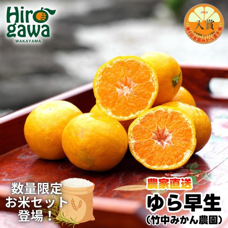 有田みかん ゆら 早生 3kg 5kg 小玉 サイズ混合 7000円 10000円 ※11月上旬～12月上旬に順次発送 / みかん 柑橘 果物 フルーツ くだもの 果実 //mandarin